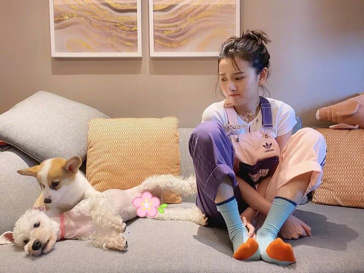 当周迅阿雅大表姐在一起，论气质无人能敌