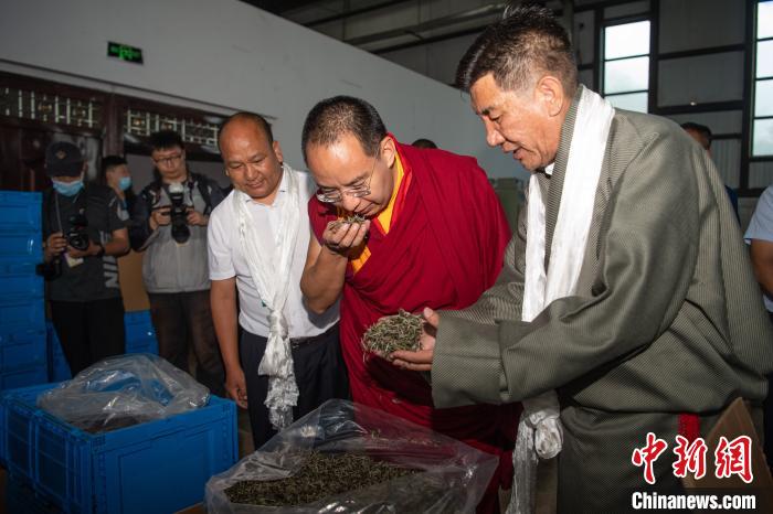 在喜马拉雅山脉南麓墨脱，班禅与茶场负责人的一场对话