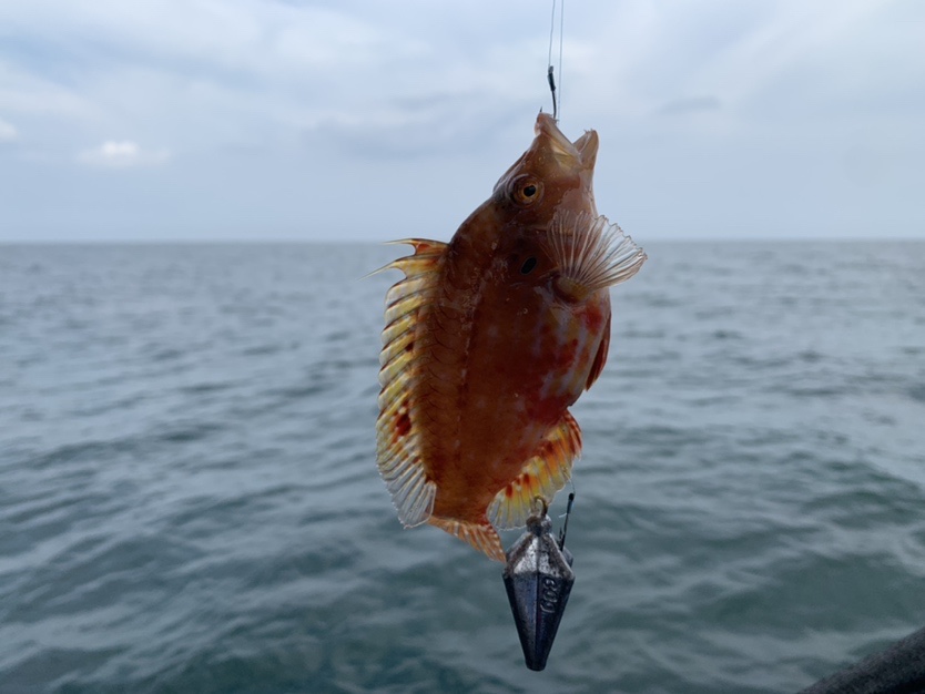 南海漂流野釣海上釣魚初體驗真的好刺激