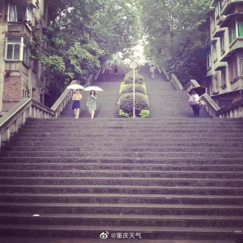 “重庆人都不胖的原因”上热搜！评论区里都是人才