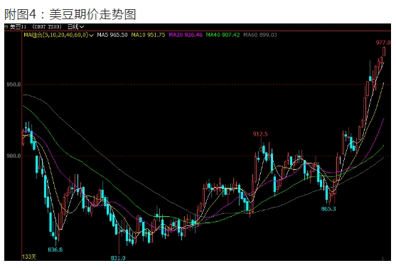 油脂行情涨势如虹，连盘豆油增仓上行，剑指7000点大关