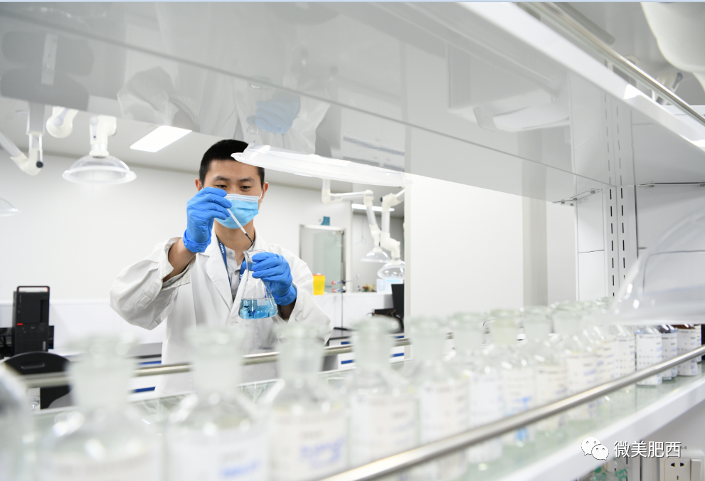 在上海就能注册肥西公司！我县生物医药产业依托长三角G60科创走廊先行突破