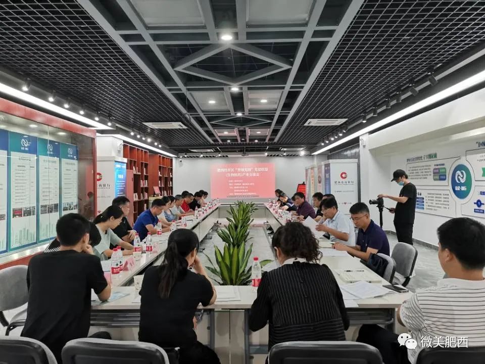 在上海就能注册肥西公司！我县生物医药产业依托长三角G60科创走廊先行突破