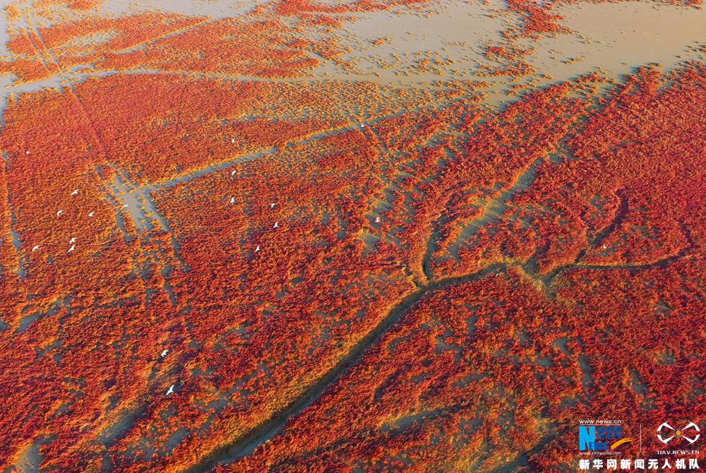 Viewing the Yellow River from space: she is so beautiful