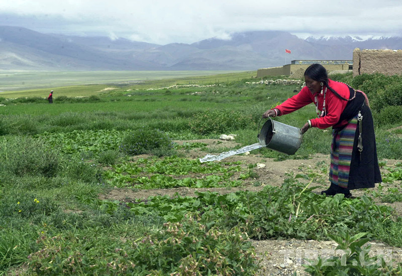 Archaeological Site of Xiangxiong Kingdom