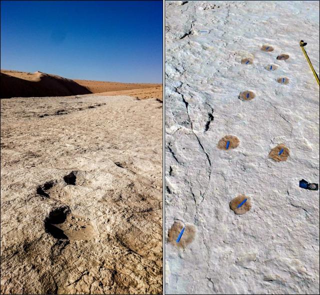 沙特发现距今12万年前的人类脚印，网友：所以这是史前文明吗？