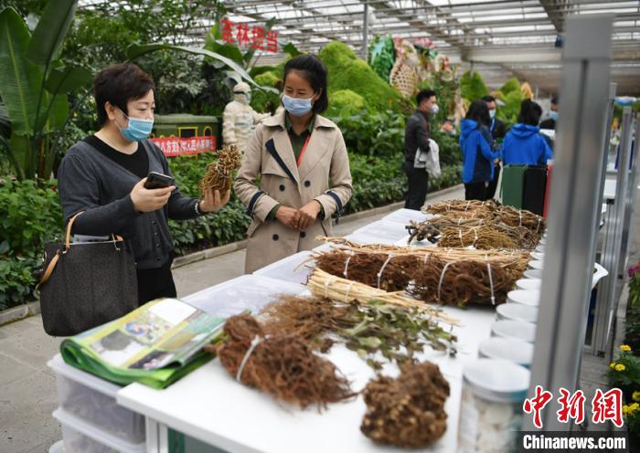 东北亚中医药博览会长春开幕 各方共谋“疫后”产业发展