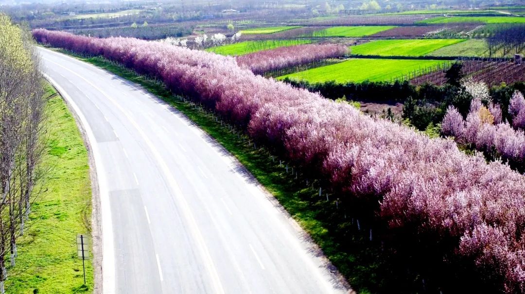 服务全运 美化城市｜聚精会神打赢攻坚战！秋冬季城市绿化敲黑板划重点啦