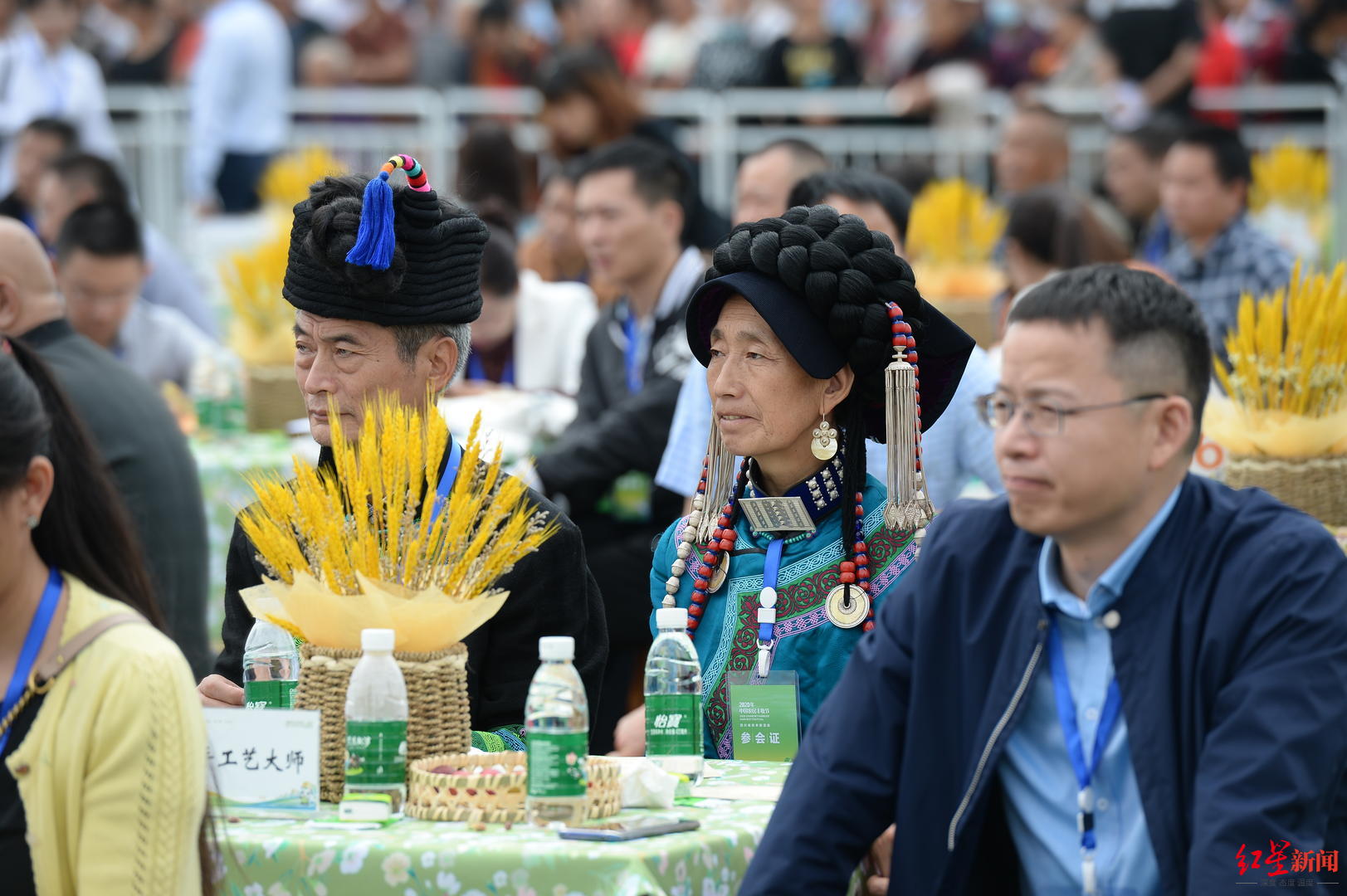 中国农民丰收节，四川“庆丰收”活动成都新津开幕！网红现场带货