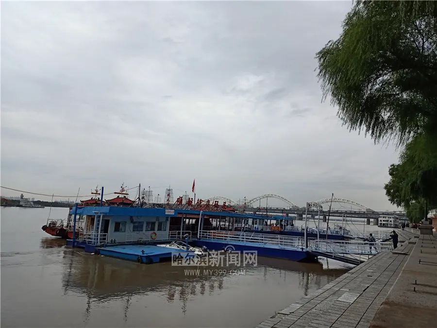 所有船舶停航丨预计松花江干流哈尔滨站26日前后出现洪峰，洪峰水位118.65米上下，超警戒水位0.35米