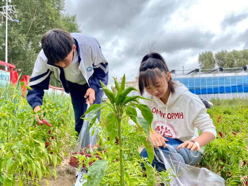 半月谈｜不能只为了成绩前30%的学生，而放弃另外70%的学生