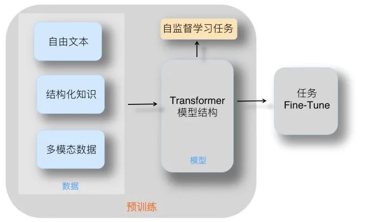 乘風破浪的PTM：兩年來預訓練模型的技術進展