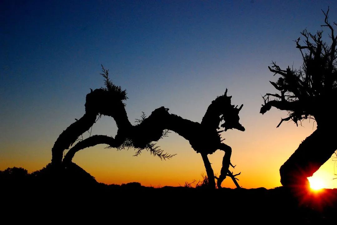Haven’t been to Inner Mongolia to see the spring, summer, autumn and winter