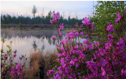 Haven’t been to Inner Mongolia to see the spring, summer, autumn and winter