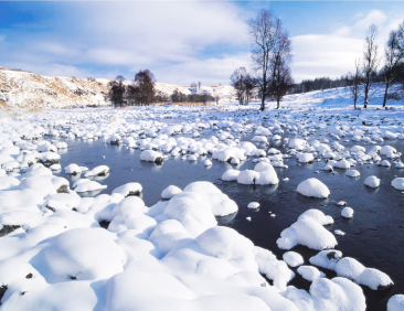 Haven’t been to Inner Mongolia to see the spring, summer, autumn and winter