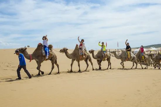 Haven’t been to Inner Mongolia to see the spring, summer, autumn and winter