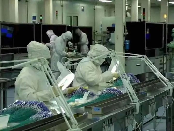 “隐形冠军”抢眼，南湖区生物医药产业势头高昂