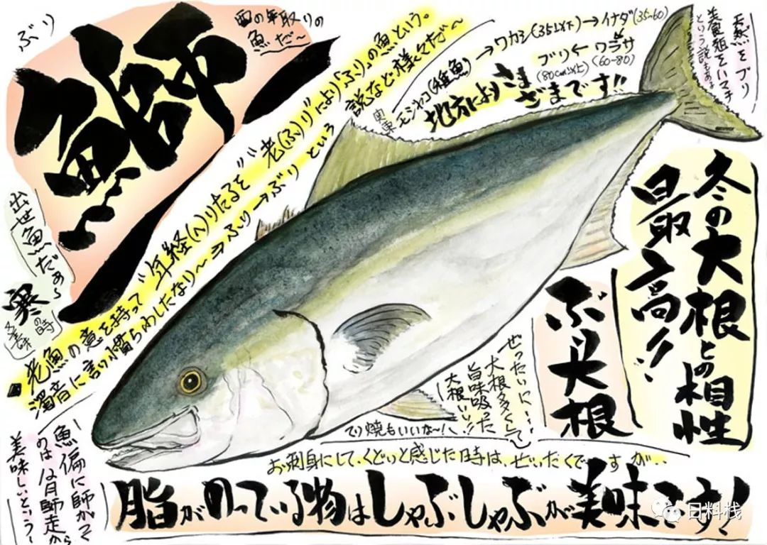日本人为啥不让媳妇吃秋梭子鱼？ - 美食- 爆资讯新媒体平台