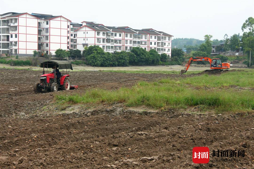 重庆铜梁高楼镇：洪水后开展生产自救40天 中坝蔬菜基地“浴水重生”