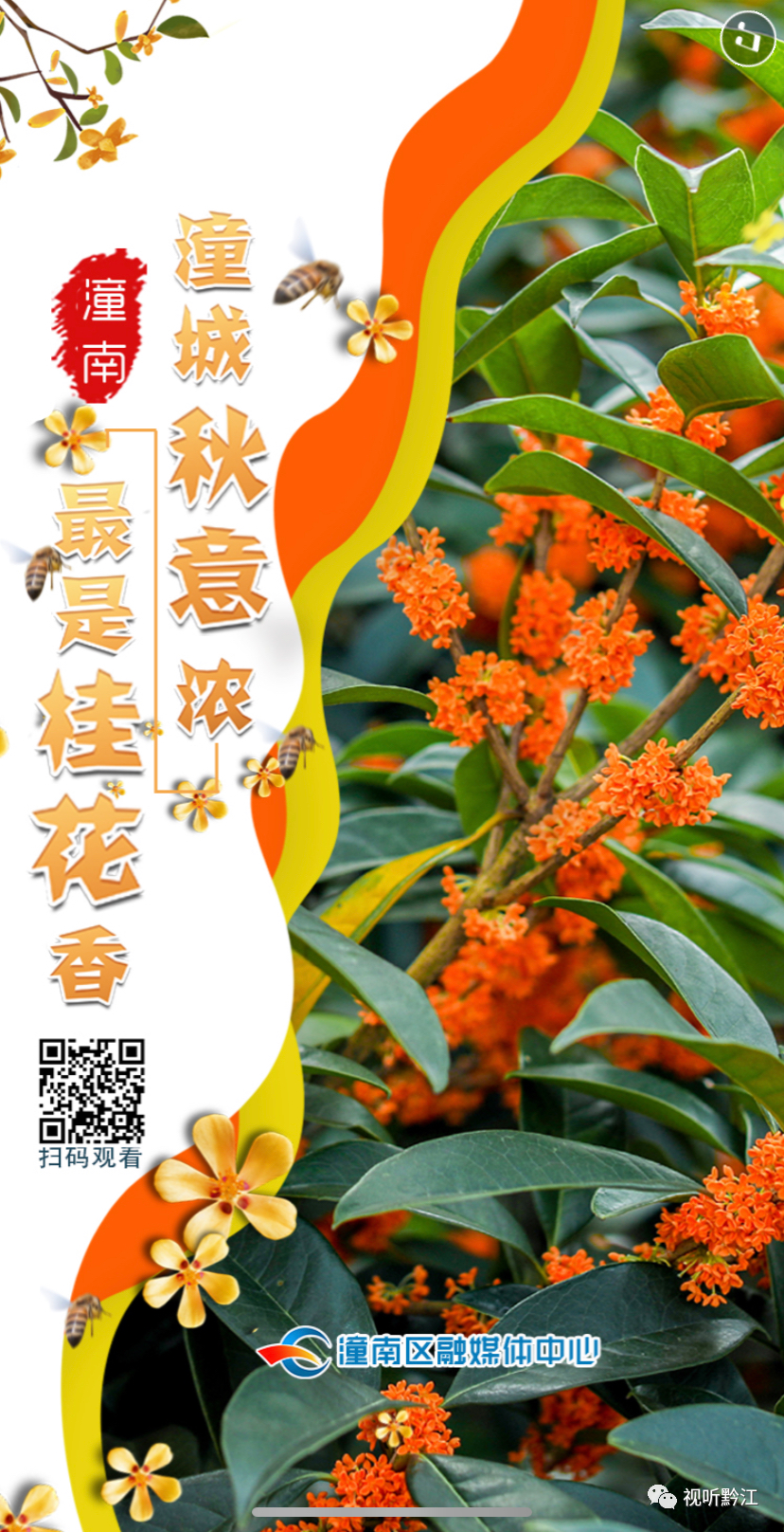 《看重庆》第24期丨赏秋