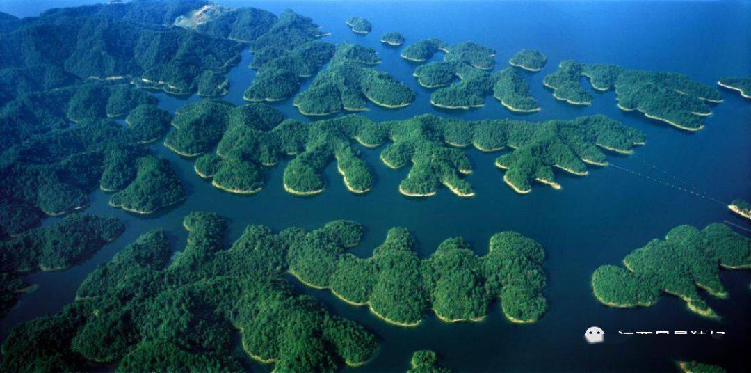 A three-day tour of Mount Lushan and Jiujiang at ease