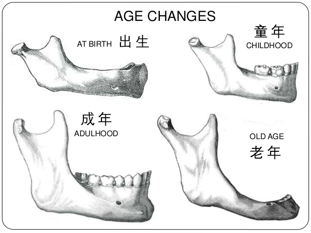 不是一切的下巴后缩都叫“幼态脸”