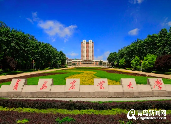 倒计时开启！青岛农业大学发布70周年校庆公告