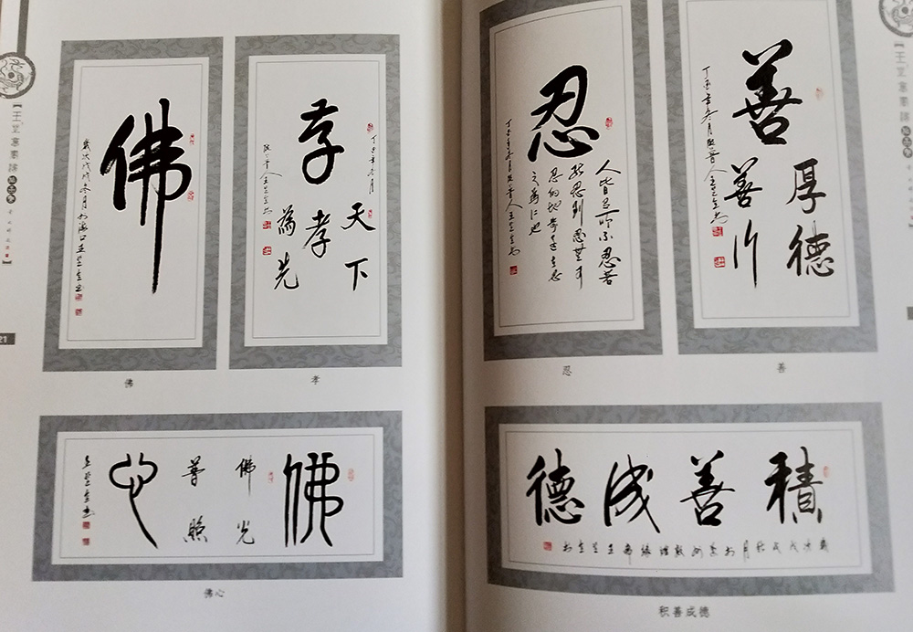《王芝意书法作品集》发布仪式在兰州举行