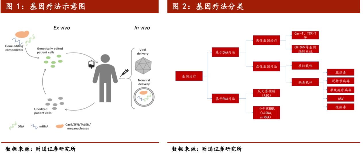基因治疗将引领生物医药第三次革命？