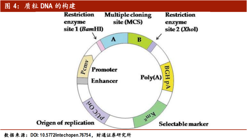 基因治疗将引领生物医药第三次革命？