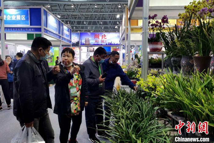 合肥农交会吸引境内外4000多客商参加