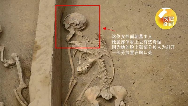 陕西寨山遗址发现多处活人殉葬墓寨山石城首次全面揭露石峁文化大型