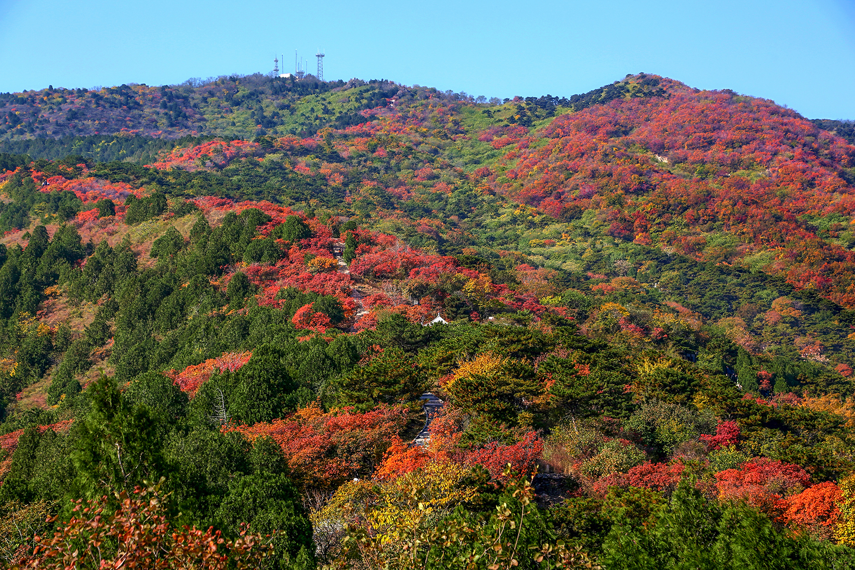 北京紅葉進(jìn)入觀賞期 19處公園景區(qū)喚你來“賞秋”