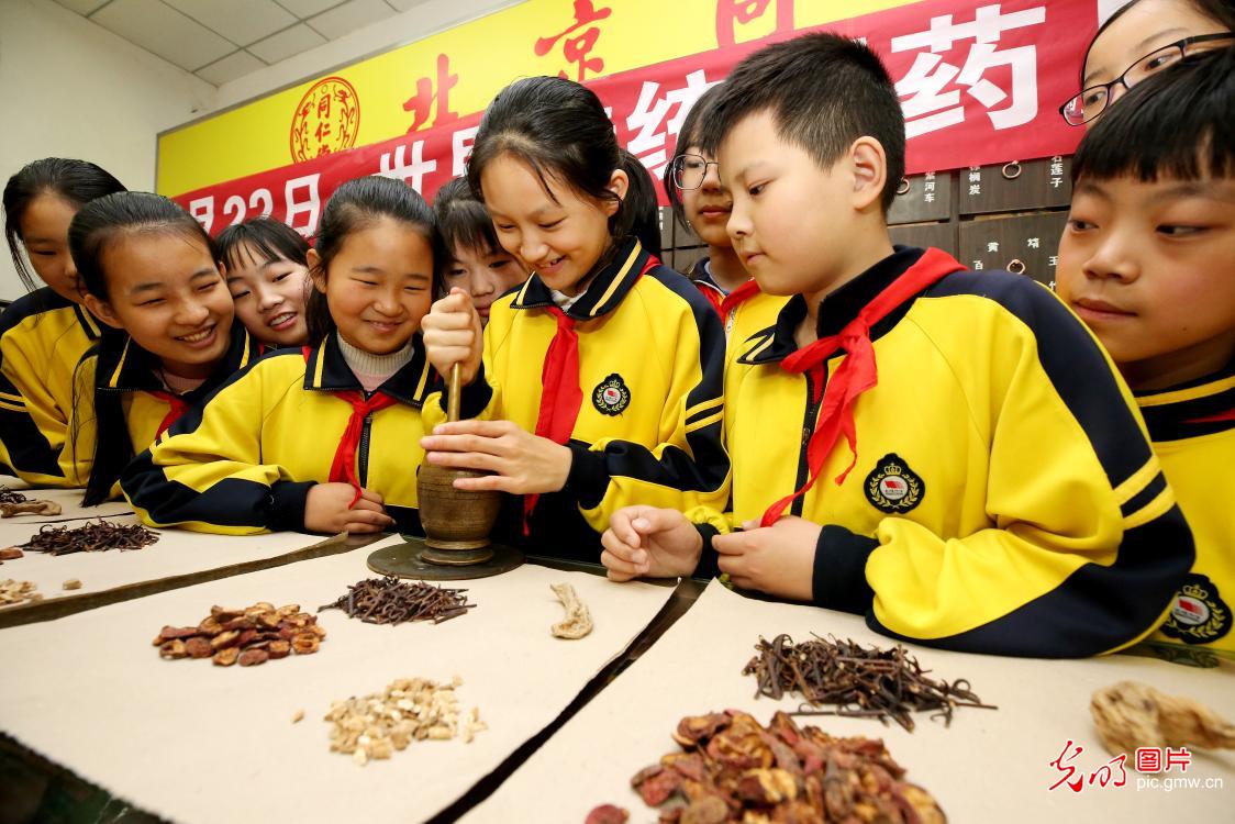 世界传统医药日：识草药 学中医