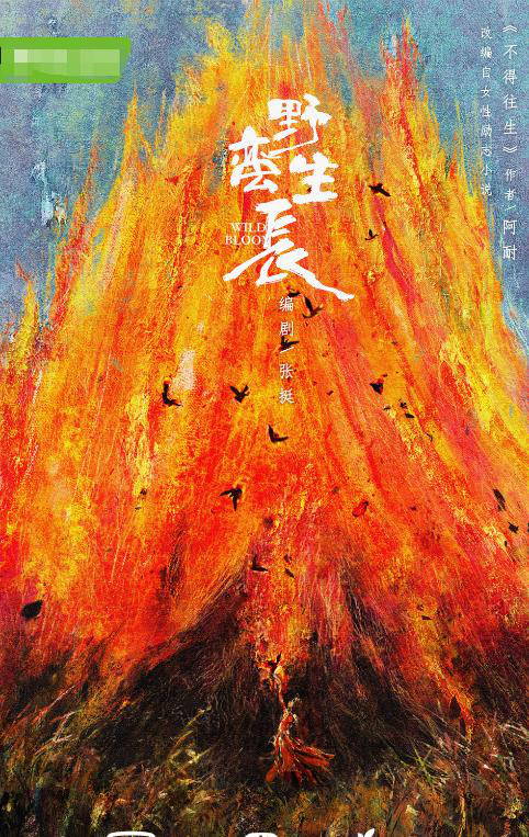 《都挺好》作者阿耐新劇來了！定名《野蠻生長》