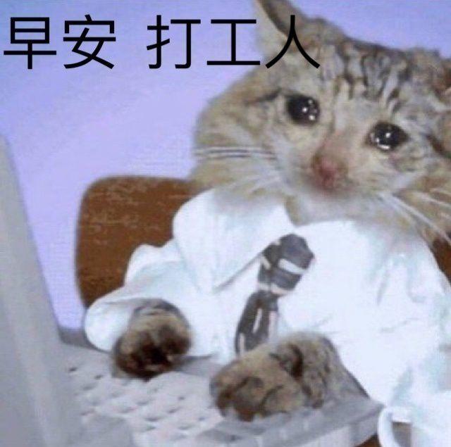 “打工人”刷爆網(wǎng)絡(luò)！是自我鼓勵(lì)，還是社畜自嘲？
