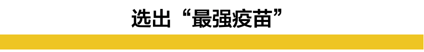 心态崩了？英国政府宣布将故意感染大量志愿者，获取最强疫苗