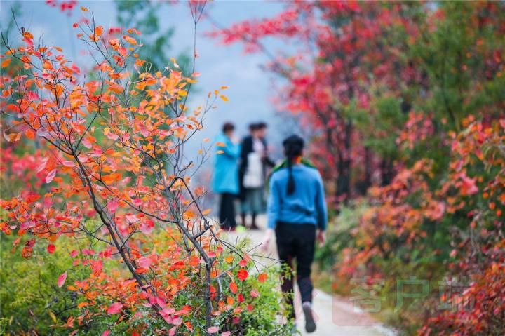 Ecological "dividends" benefit people's livelihood