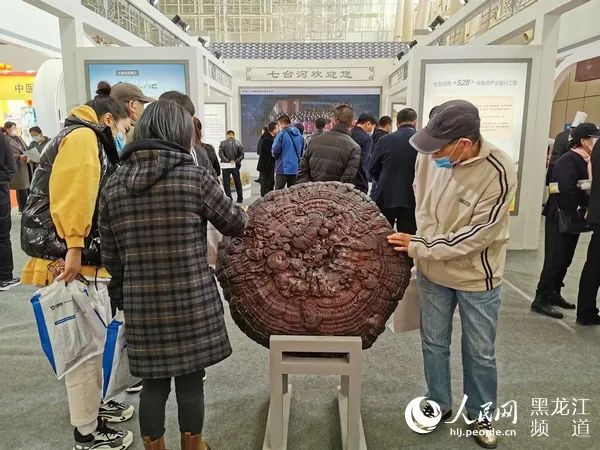 七台河市大力发展中医药产业 打造经济转型升级新增长极