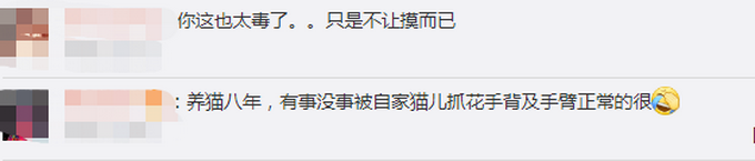 「猫因」北大流浪猫因抓人被连贴12张告示 无人投喂的喵星人蔫了……