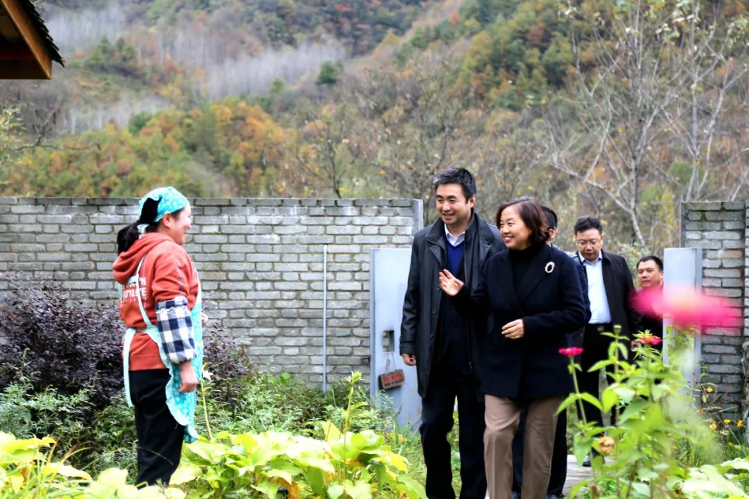 服务百姓健康，留坝县第二届中医药文化节开幕
