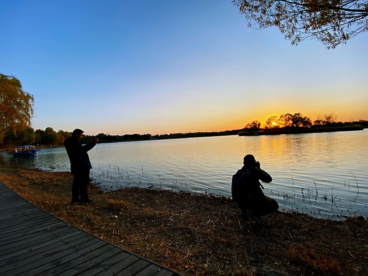 大风吹来火烧云，傍晚的南海子是金色的