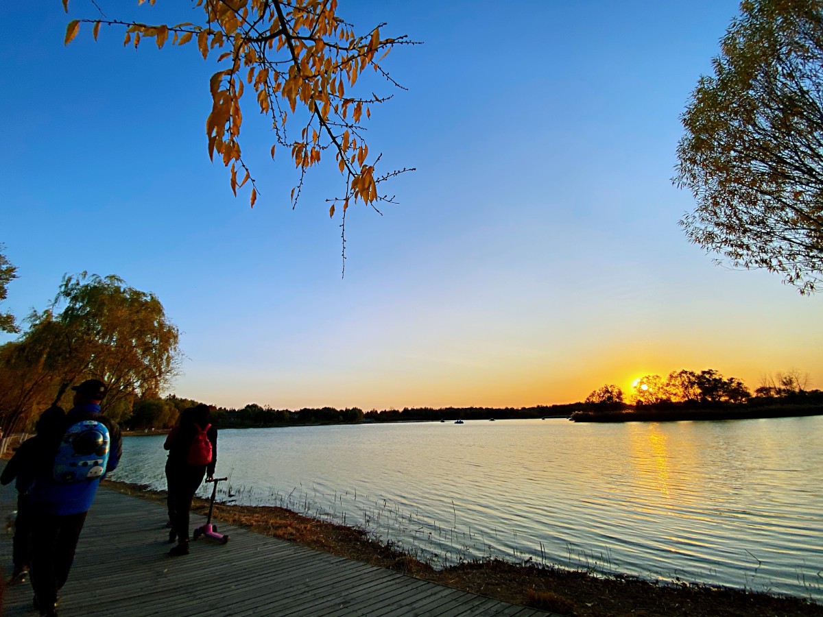 大风吹来火烧云，傍晚的南海子是金色的
