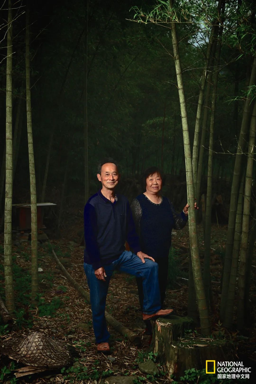 This mountain in Anhui has finally recovered