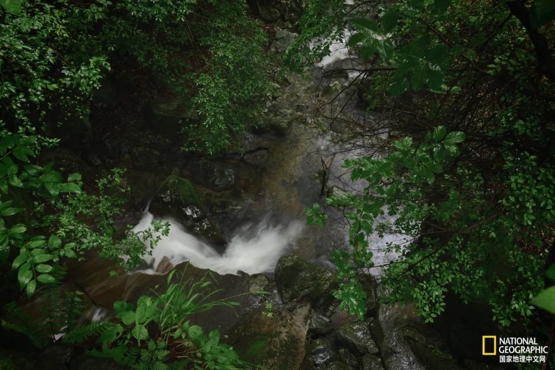 This mountain in Anhui has finally recovered