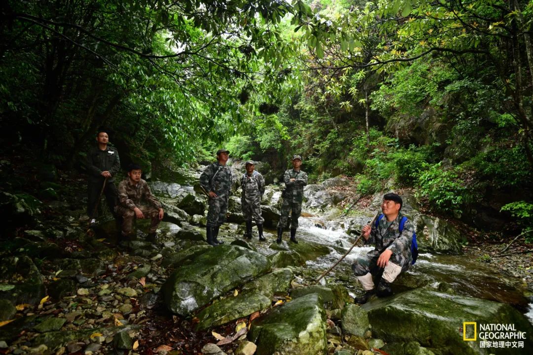 This mountain in Anhui has finally recovered