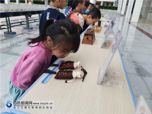 传承！红领巾续写新时代的“本草纲目”
