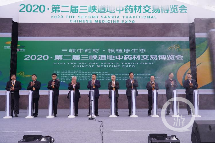 为三峡库区40万吨中药材搭台唱戏，第二届“三峡药博会”今日开幕