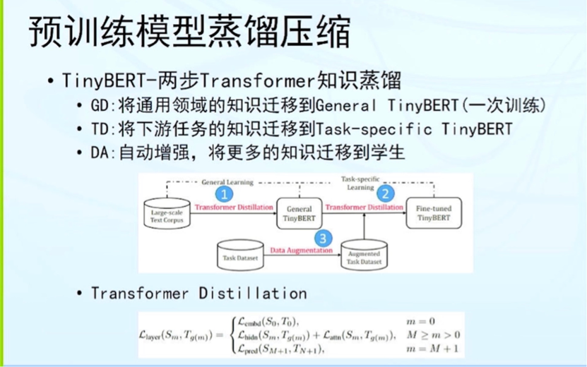 預訓練語言模型：還能走多遠？