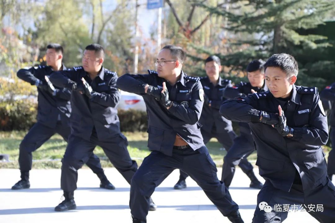 全警实战大练兵 